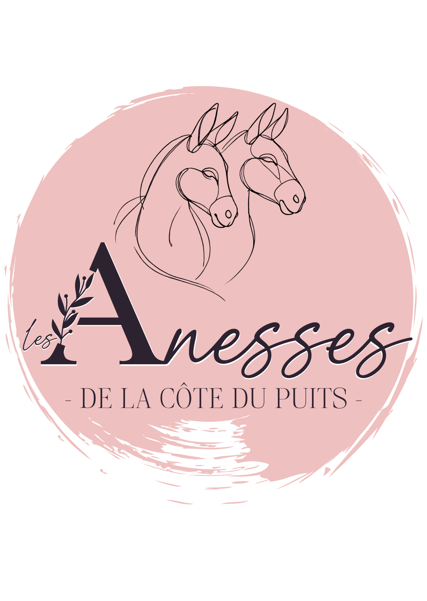Les ânesses de la côte du puits